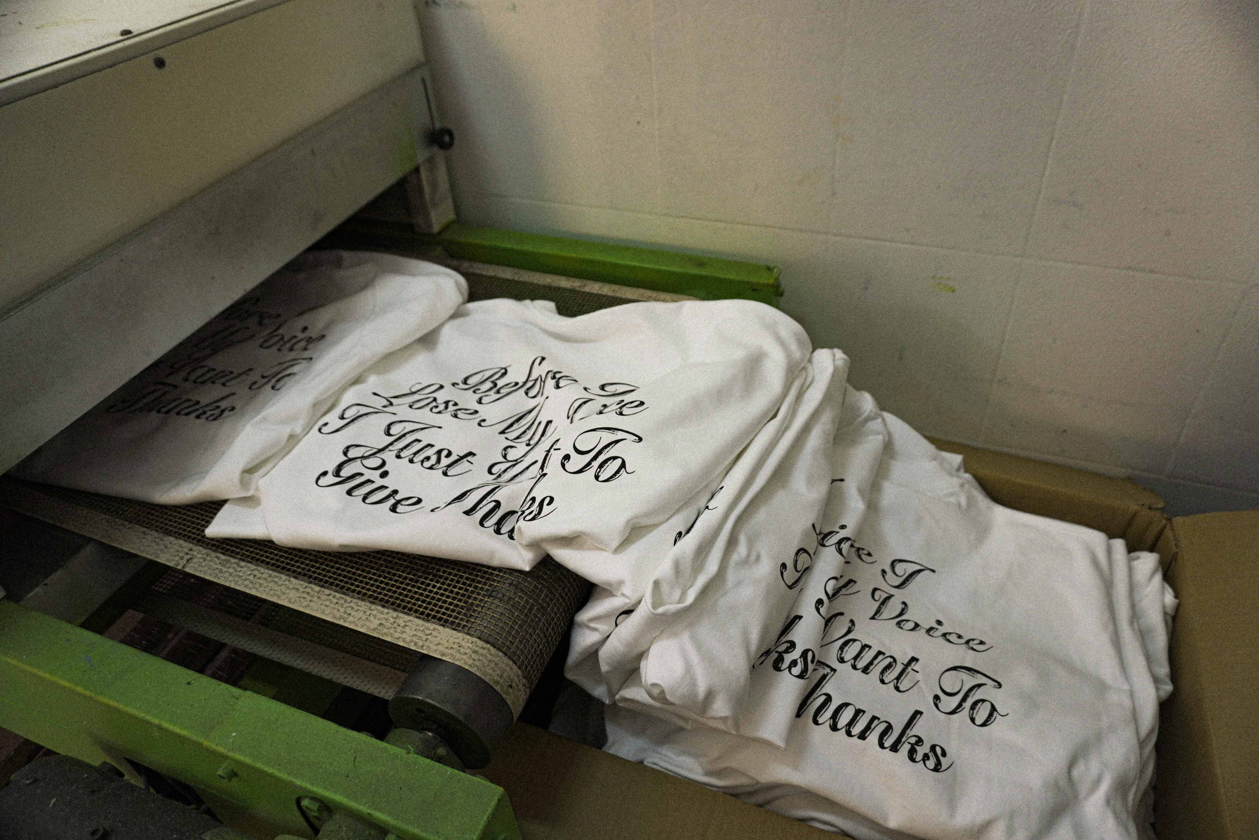 Before I Lose My Voice